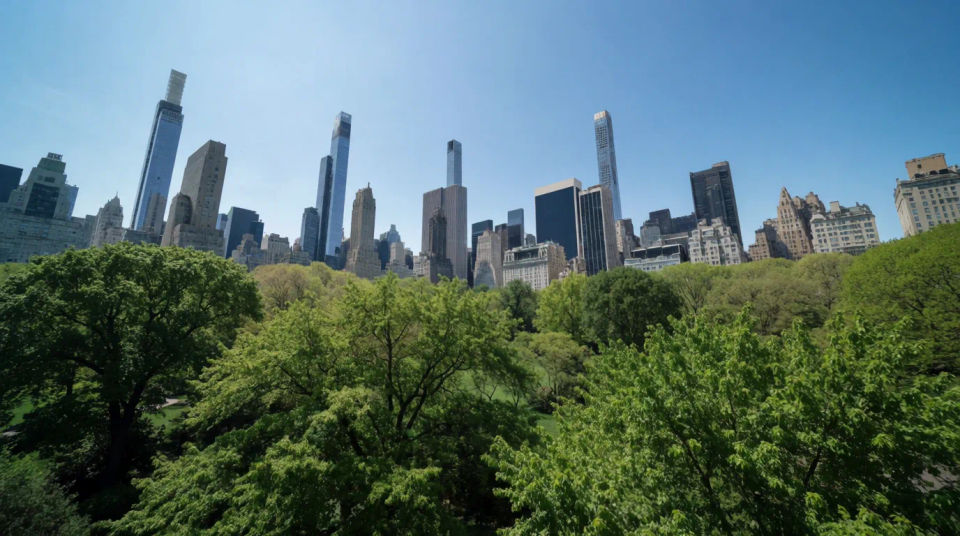 Central Park trifft Skyline