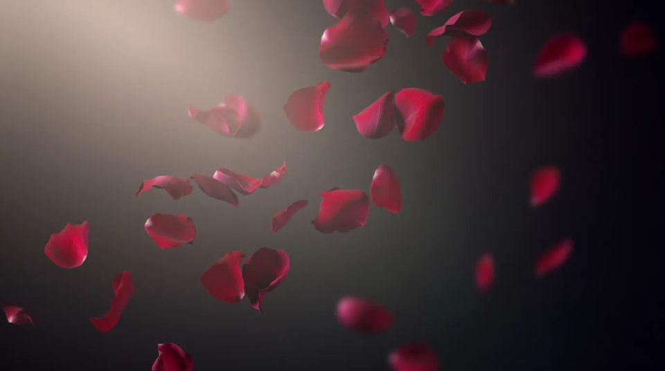 Falling petals cascade