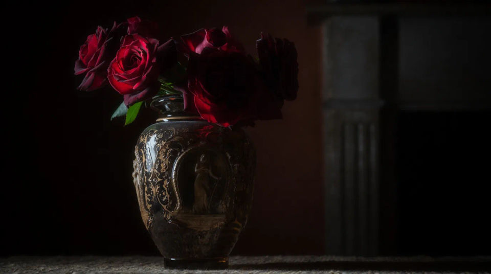 Moody rose still life