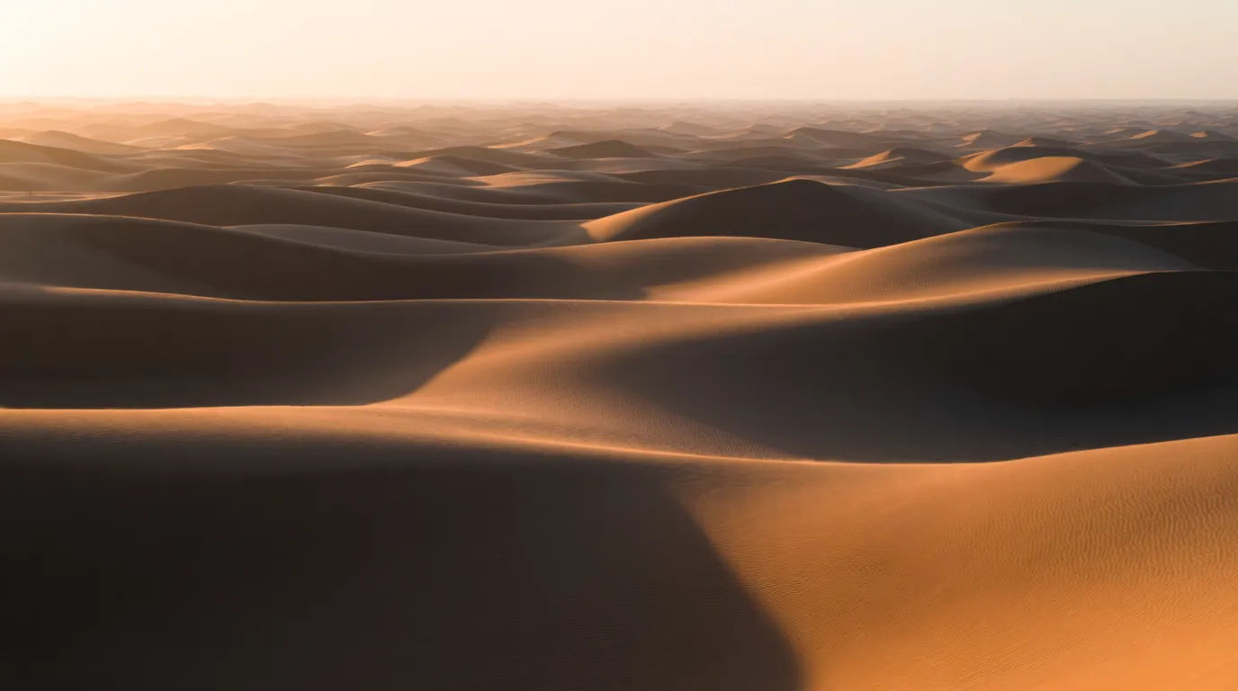 Endless dune panorama