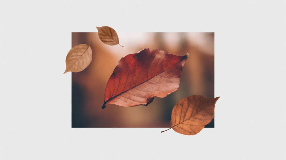 Hintergrund für Social Posts