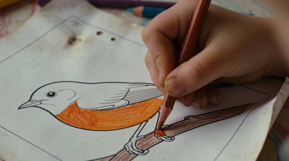 Being colored with pencils
