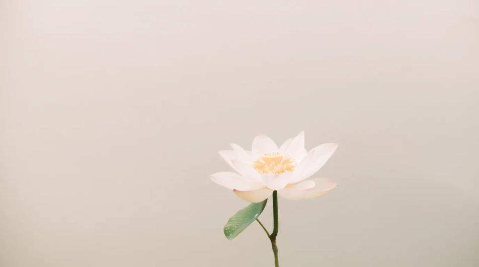 Quote card backdrop