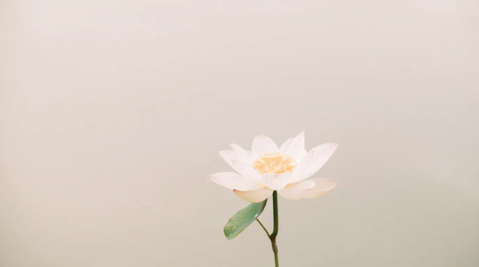 Quote card backdrop