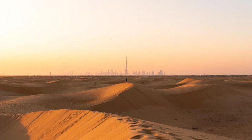 Horizonte del desierto