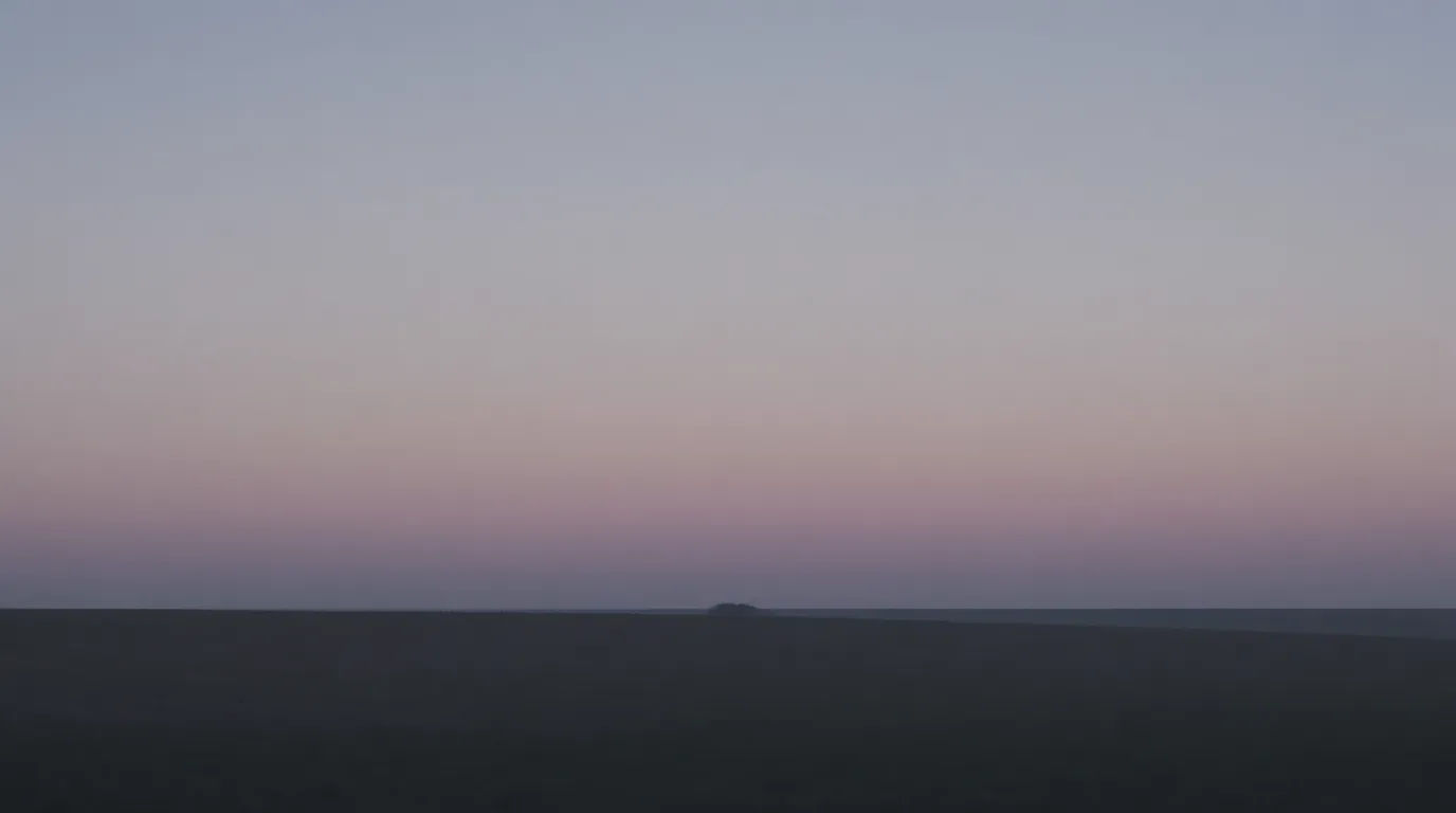 Calm horizon banner