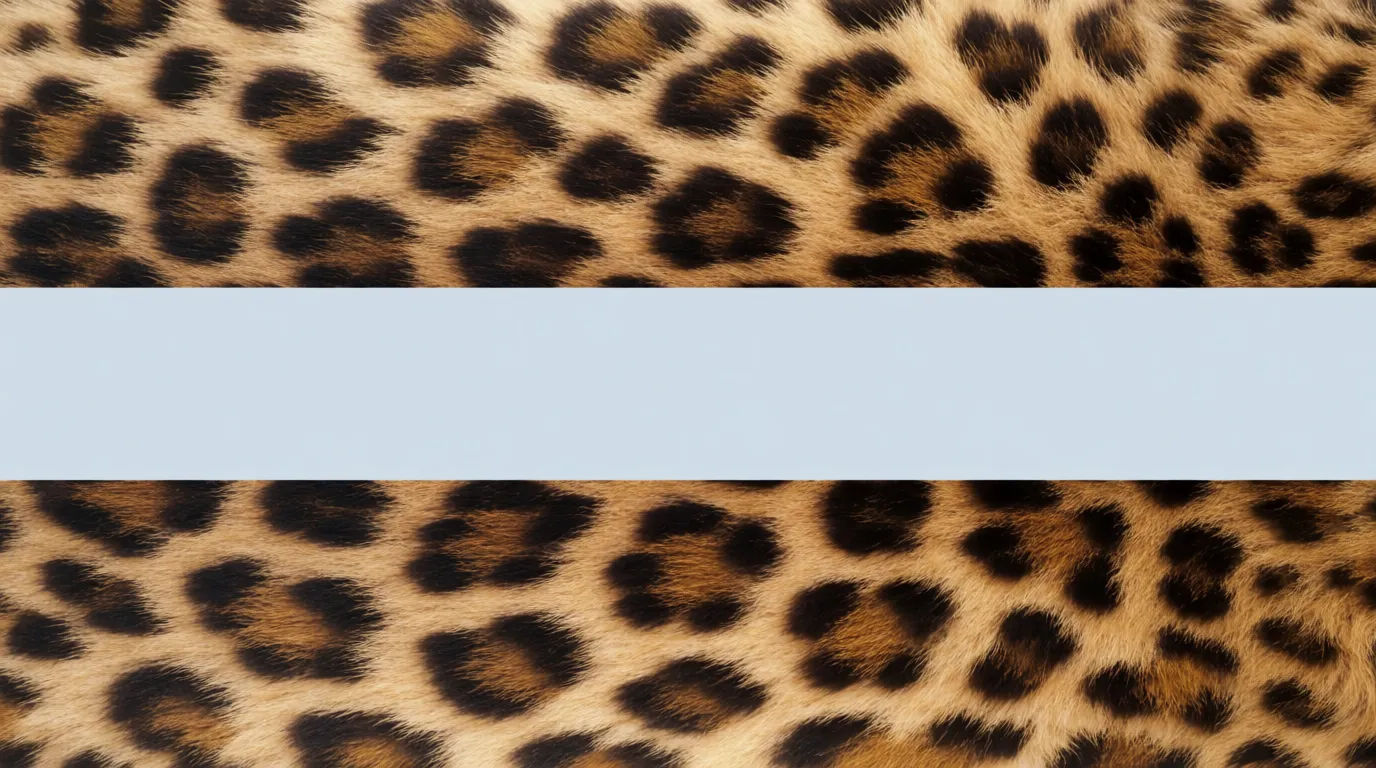 Boutique banner