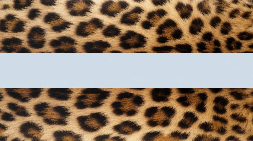 Boutique-Banner