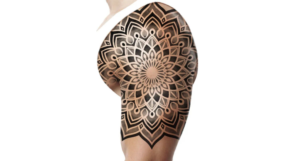 Shoulder and upper arm