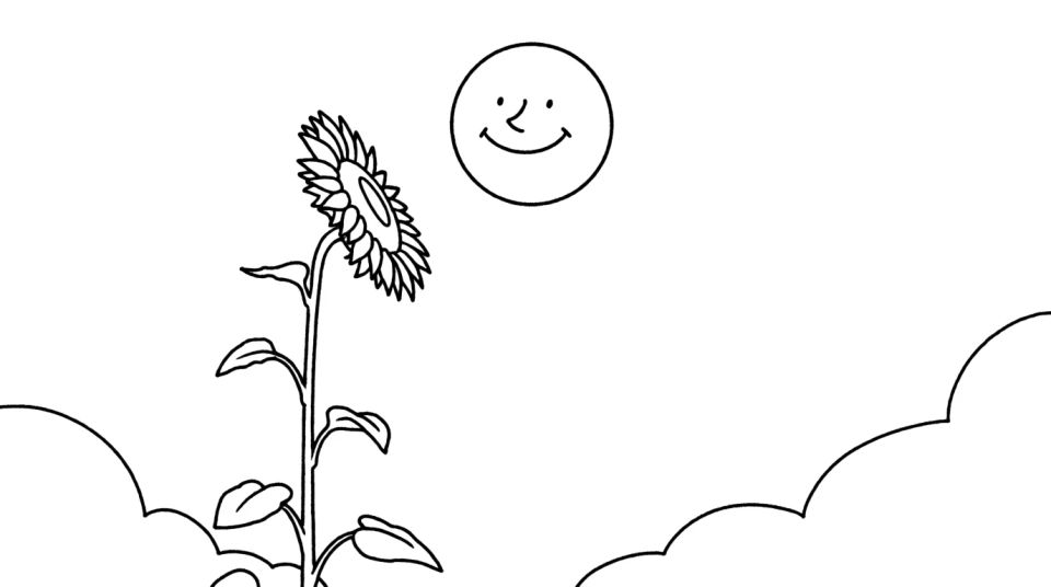 Sunflower and sun