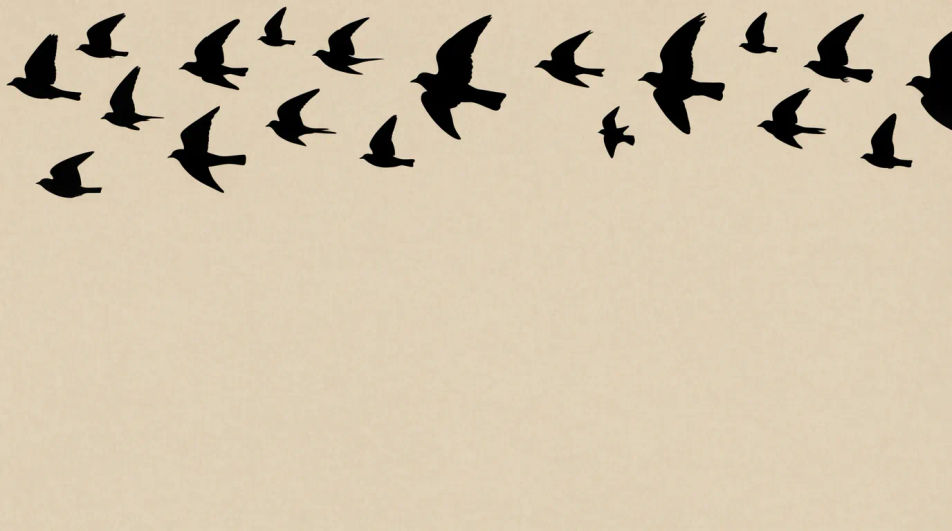 Flock border