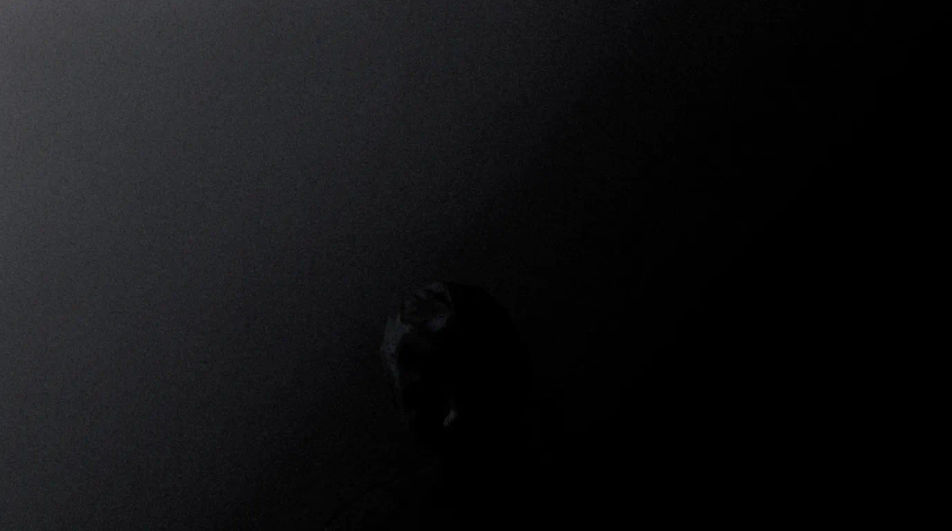 Single frame