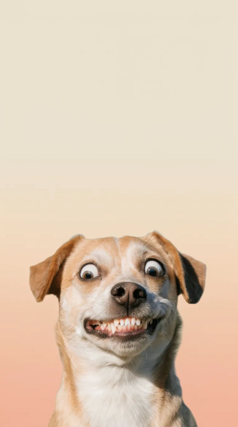 Phone lock-screen crop