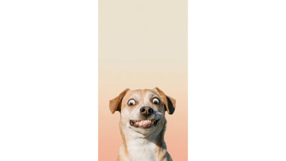Desktop widescreen crop