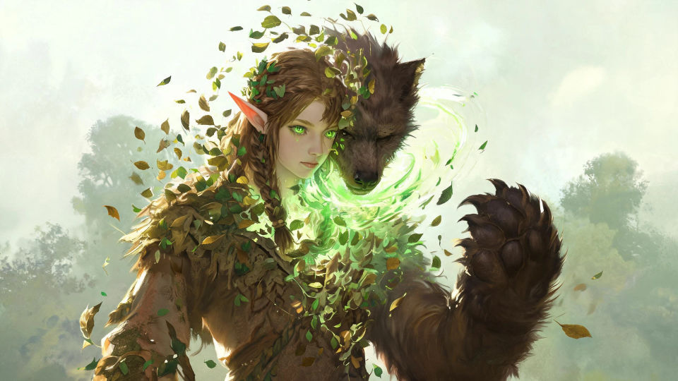 A wildshape transformation