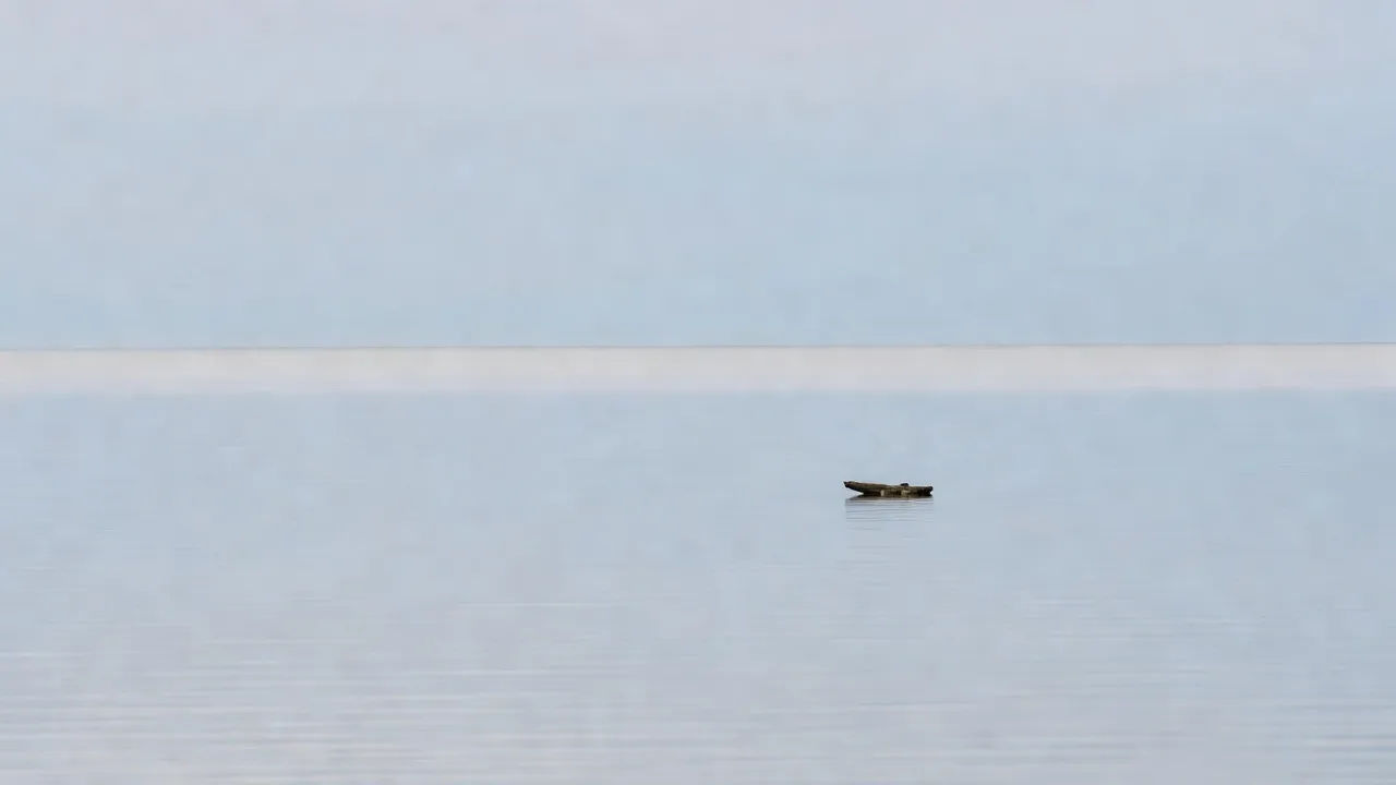 平らな水面のパネル