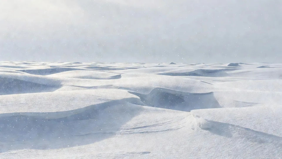 Wide snowfield panorama
