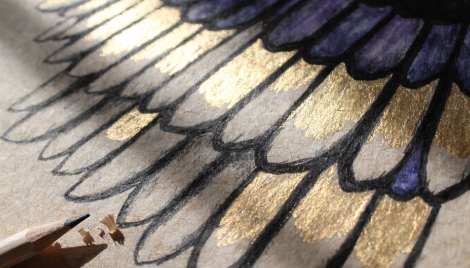 Wing feather close study