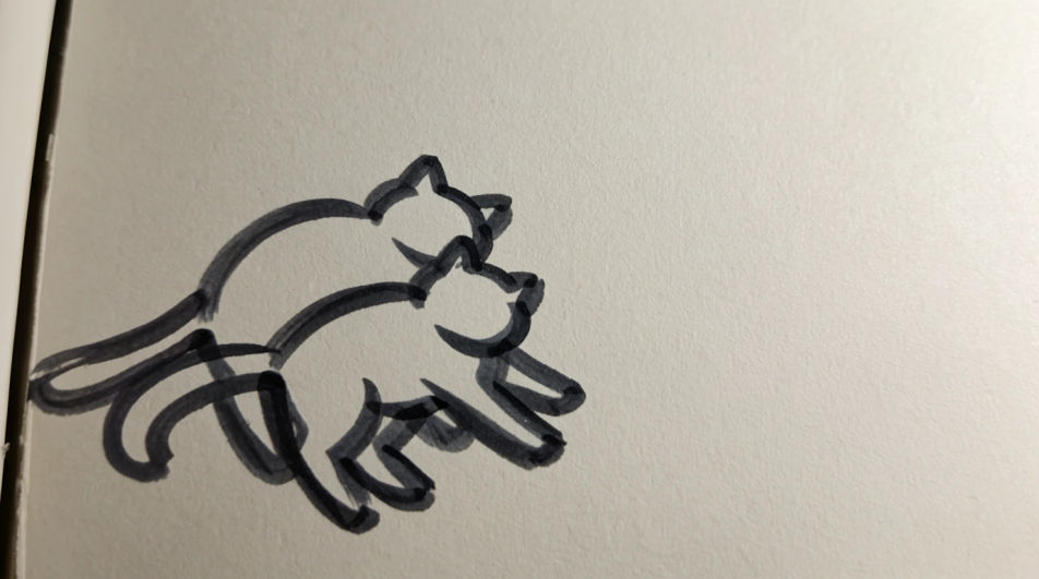 Two kittens playing