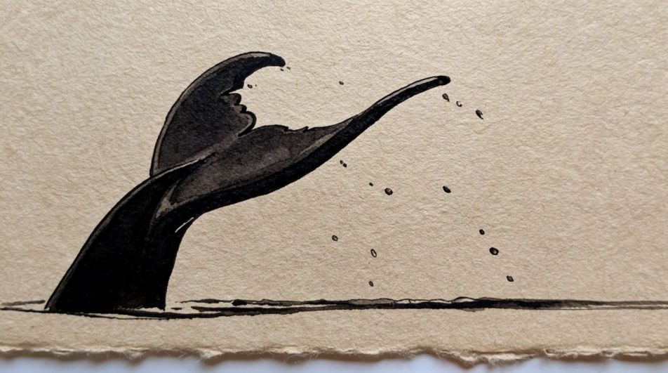 Tail fluke above the water