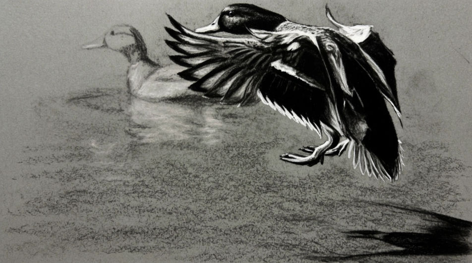 Landing on the water