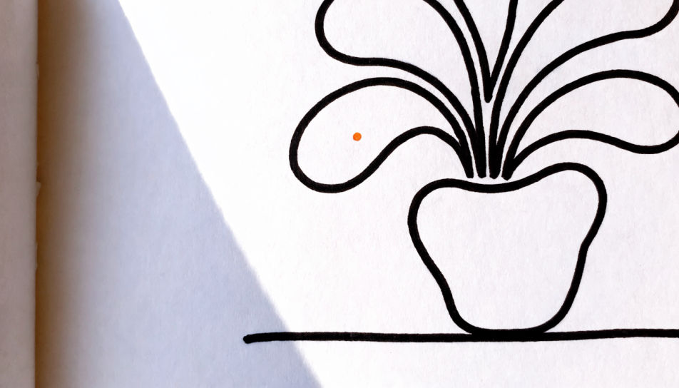 Potted plant on a shelf