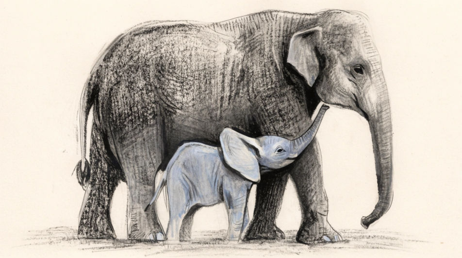 Mother and calf