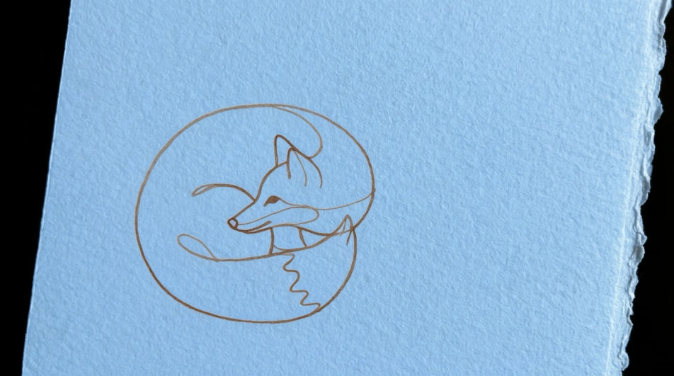 Fox curled asleep
