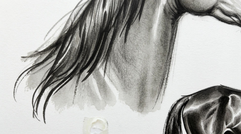 Mane and neck in wash