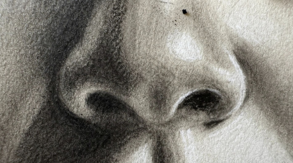 Nostril close detail