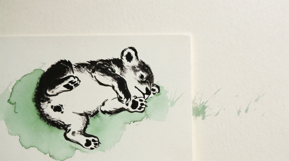 Cub rolling in grass