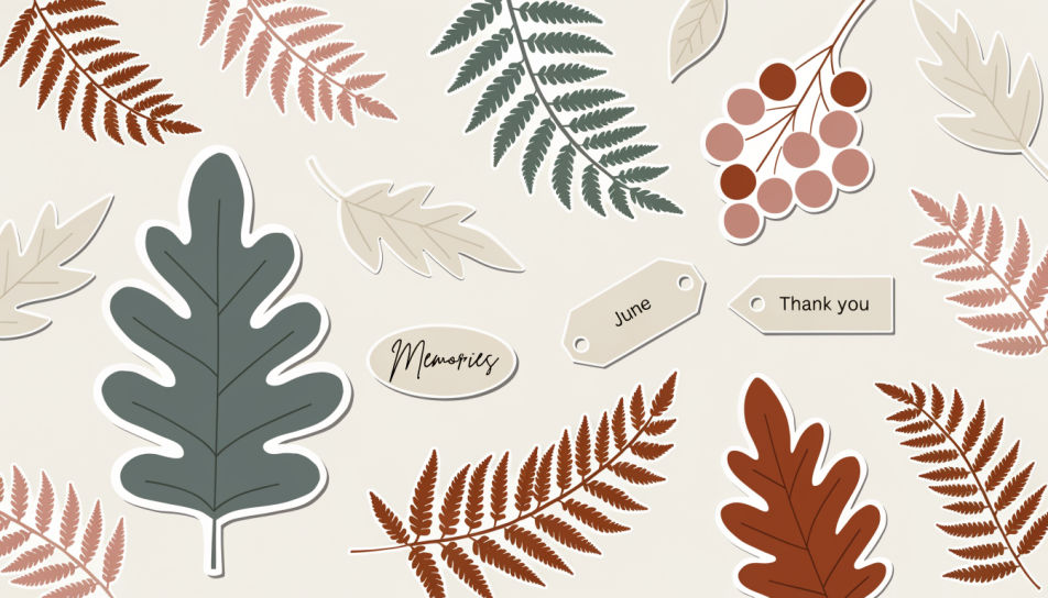 Seasonal palette set