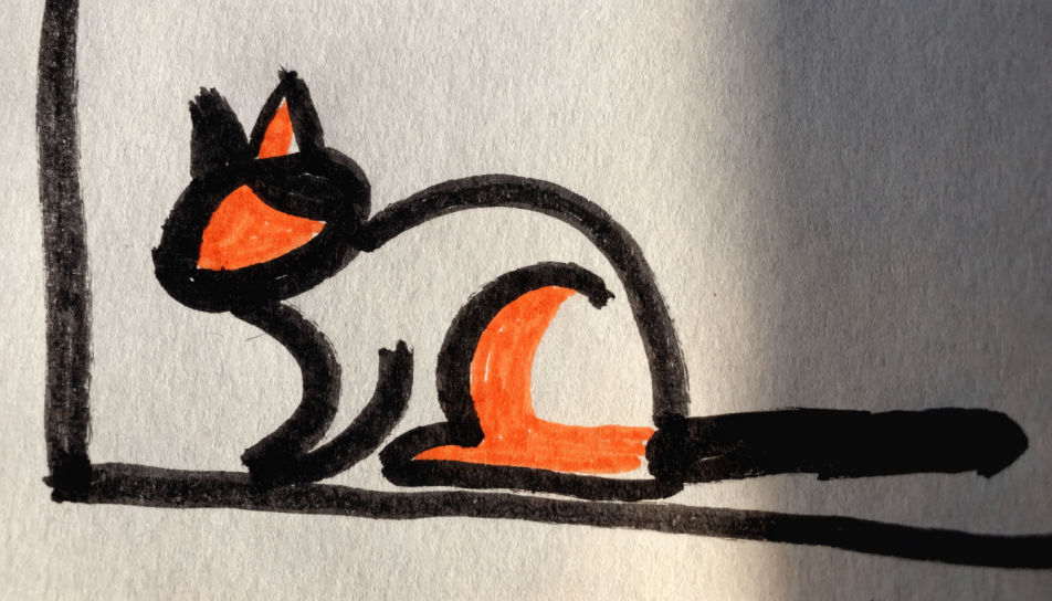 Cat on a windowsill