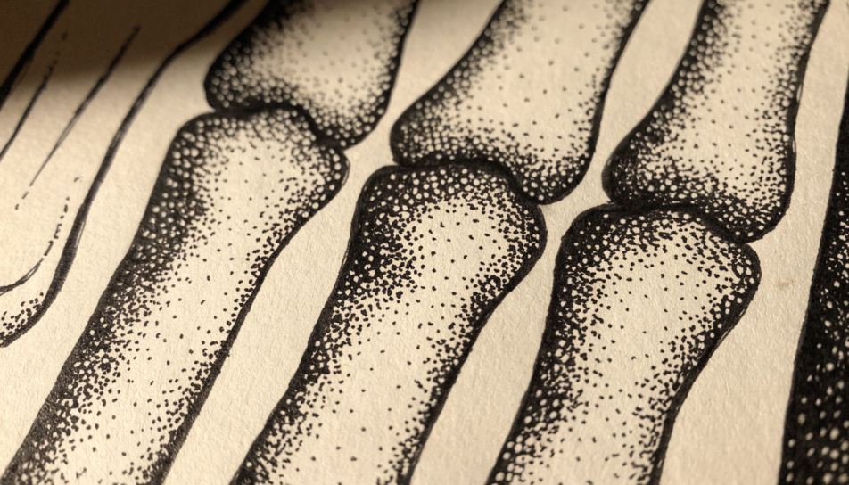 Macro knuckle study