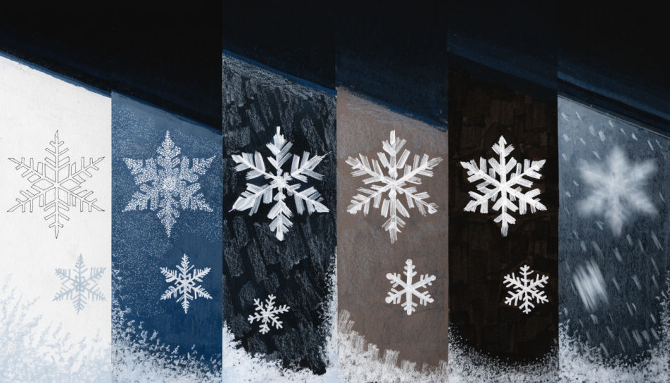 Flakes on a dark window