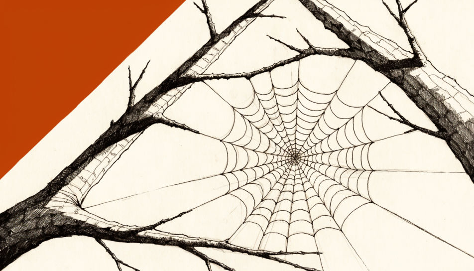 Web between two branches
