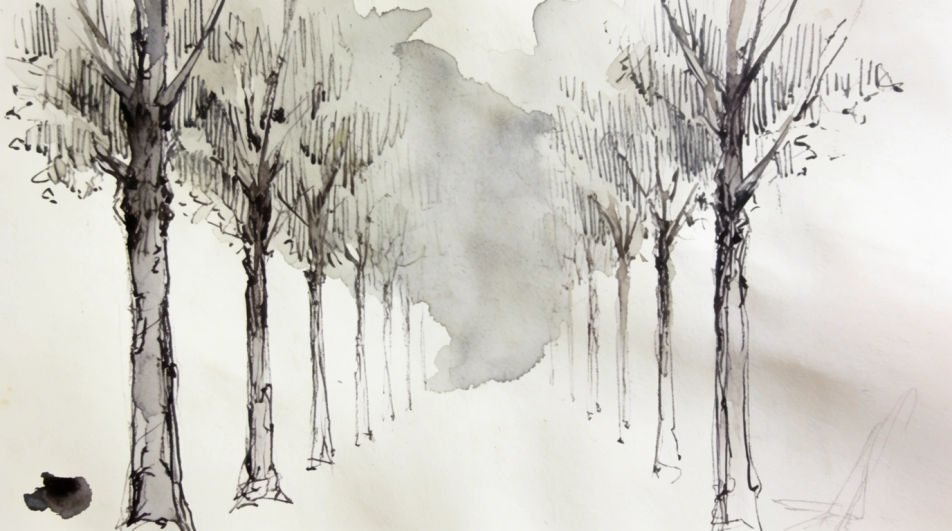 Avenue of trees in ink