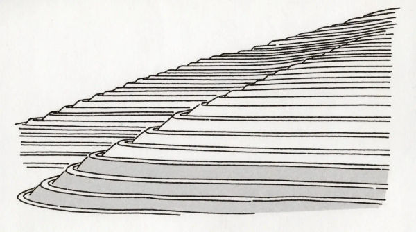 Agriculture drawings from field study to full farm scene