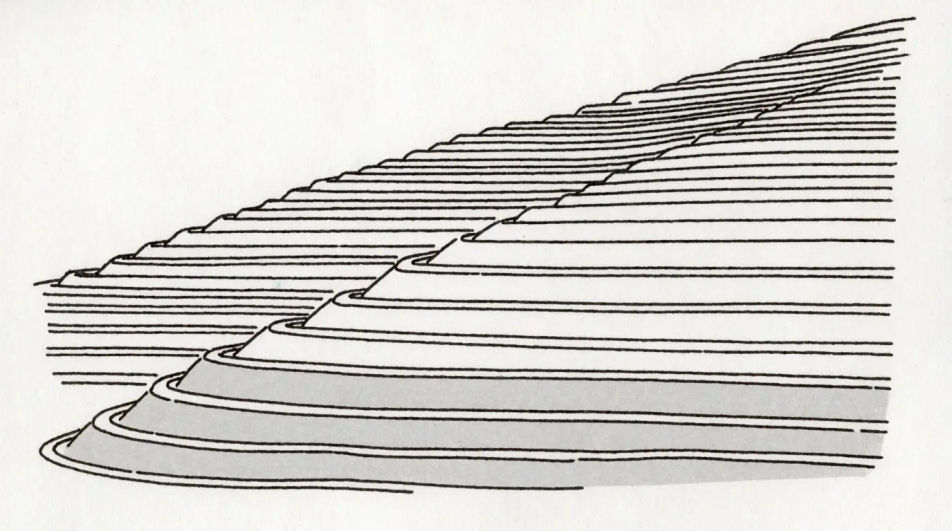Terraced fields at sunrise