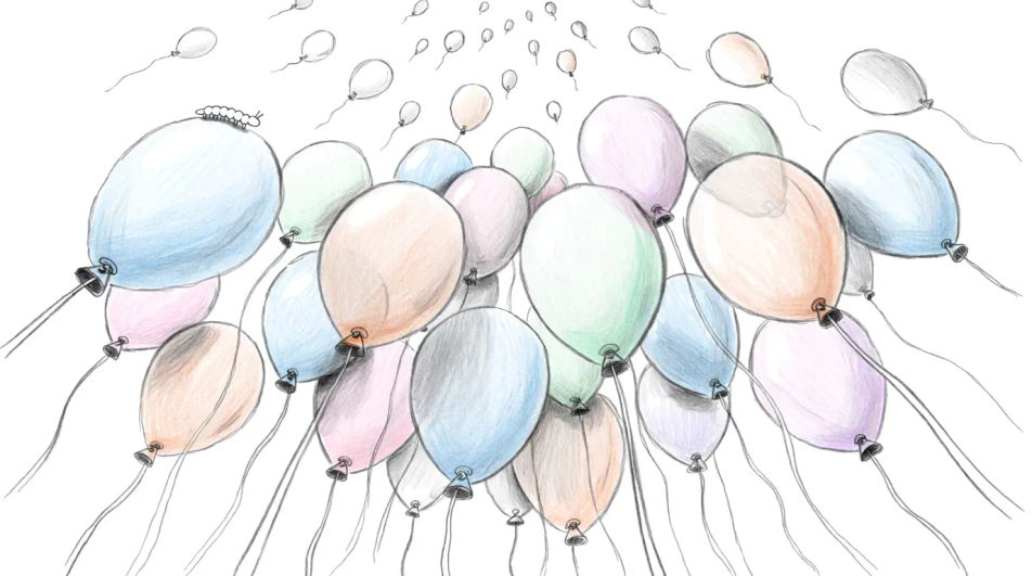 Balloons released into the sky