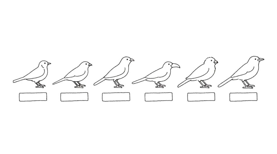 Species study sheet