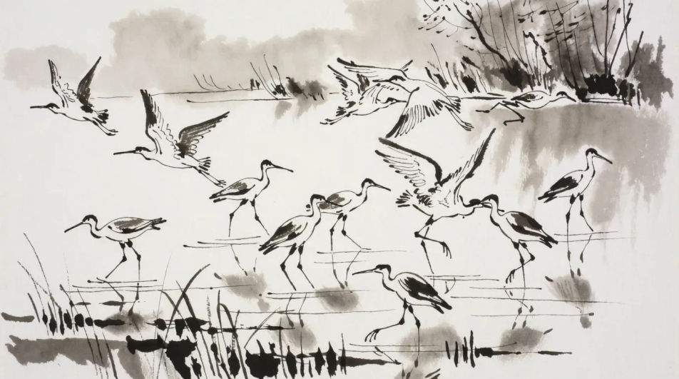 Waders at the shoreline