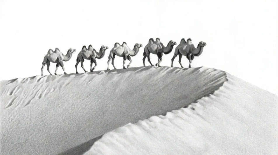 Caravan on a dune ridge