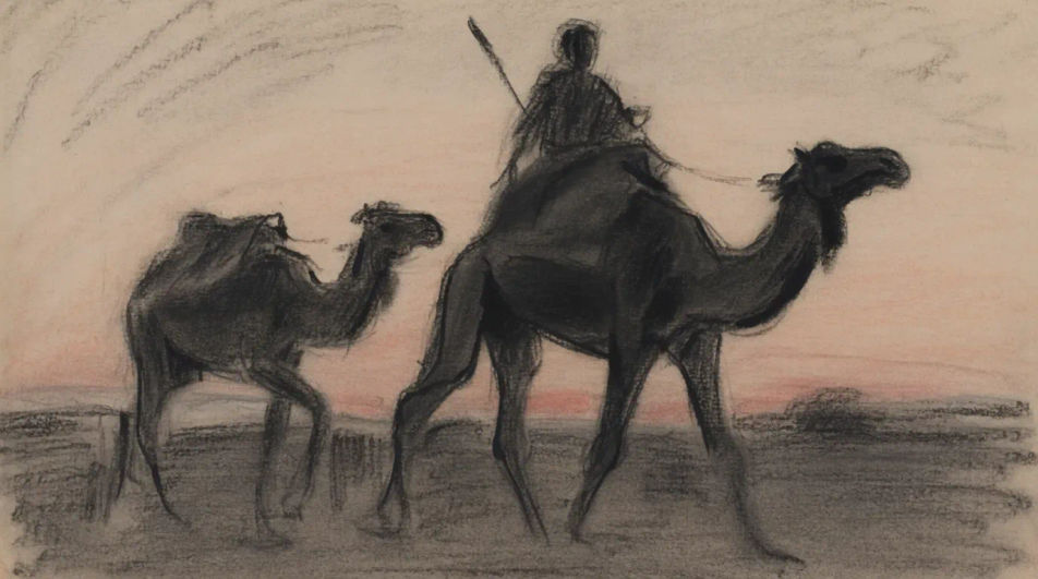 Camel and rider at dusk