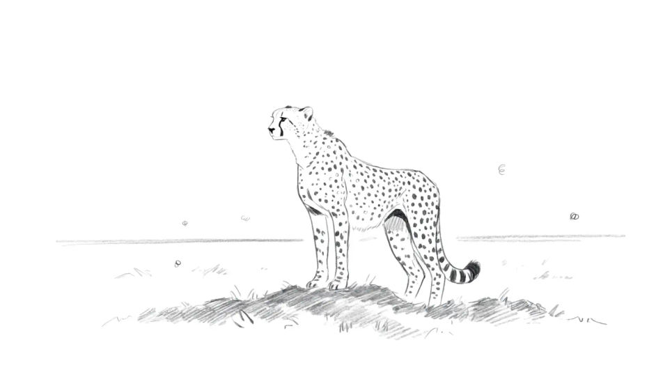 Cheetah on a termite mound