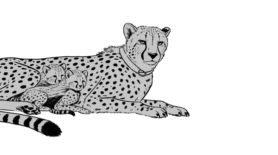 Mother and cubs in ink and wash