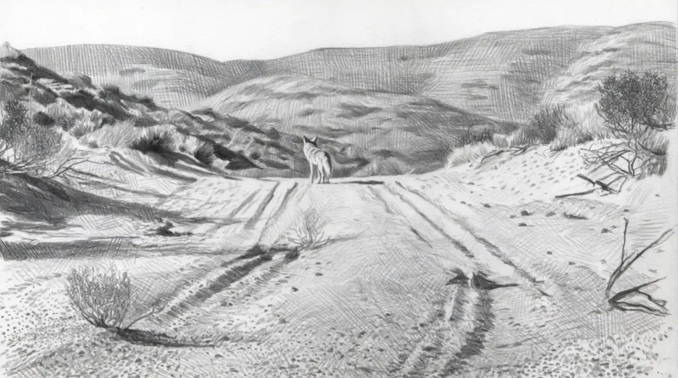 Tracks across a dry wash