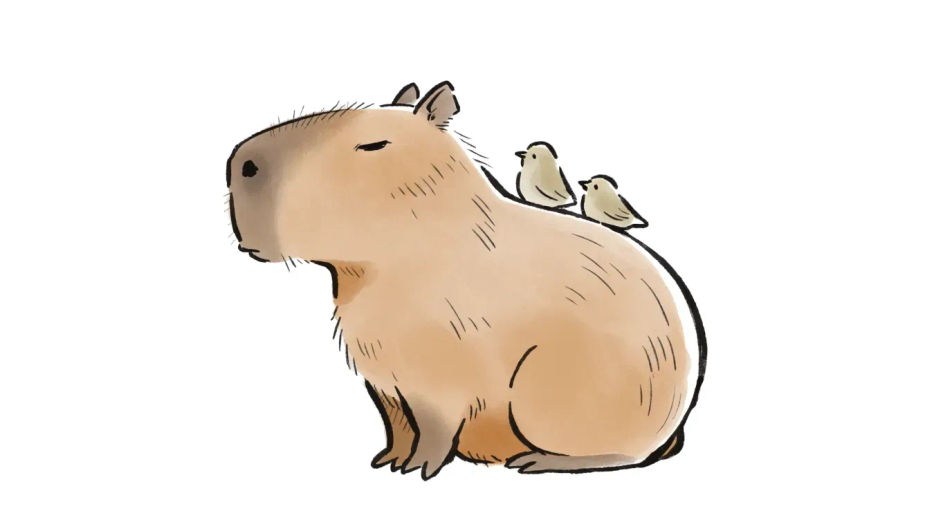 Capybara with small birds