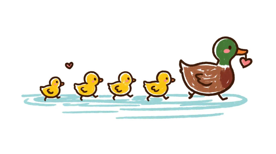 Duckling line on a pond