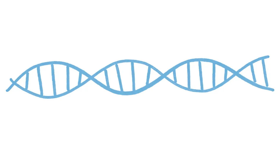 DNA vector strip for a slide